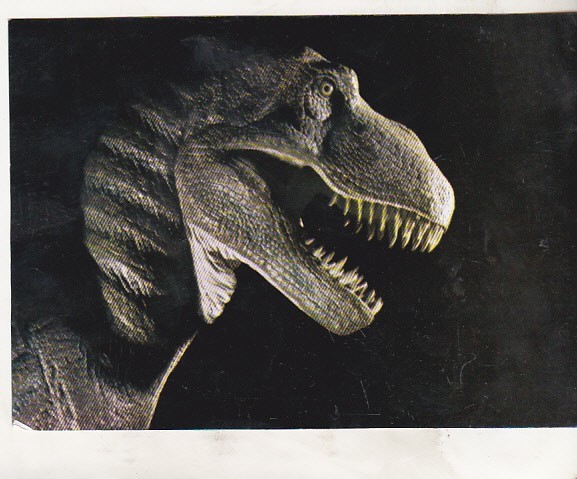 bnk cp Tyrannosaurus Rex - Vedere - necirculata