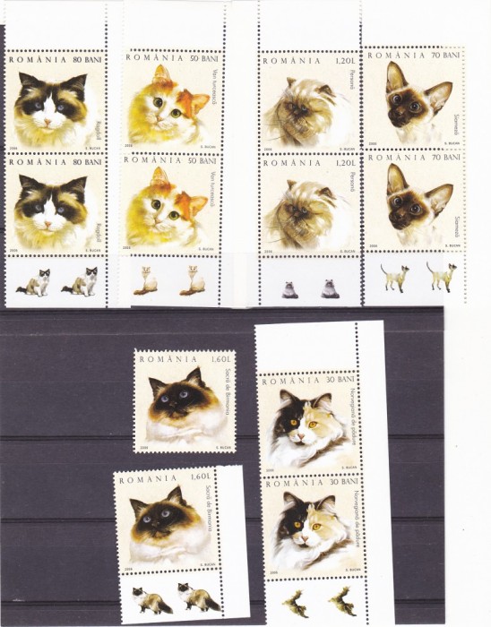 PISICI SERIE COMPLETA,X2 + TABS,2006,MNH ROMANIA.