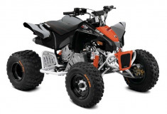 Can-Am DS 90 X &amp;#039;17 foto