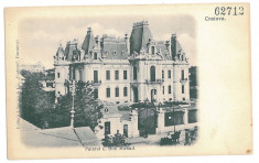 724 - Litho, CRAIOVA, Museum - old postcard - unused foto