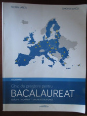 Geografie. Ghid de pregatire pentru bacalaureat foto