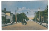 3807 - CORABIA, Olt, street Cuza Voda - old postcard - unused, Necirculata, Printata