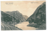 1567 - TURNU ROSU, Sibiu, railway - old postcard - unused - 1917, Necirculata, Printata