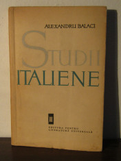 STUDII ITALIENE -ALEXANDRU BALACI foto