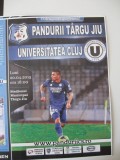 Pandurii Tg.Jiu-Universitatea Cluj Napoca (20 aprilie 2015)