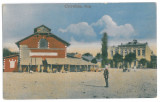 3817 - CORABIA, Olt, Market - old postcard - unused, Necirculata, Printata