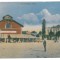 3817 - CORABIA, Olt, Market - old postcard - unused