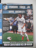 Pandurii Tg.Jiu-Rapid Bucuresti (6 decembrie 2014)