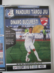Pandurii Tg.Jiu-Dinamo Bucuresti (28 august 2015) foto