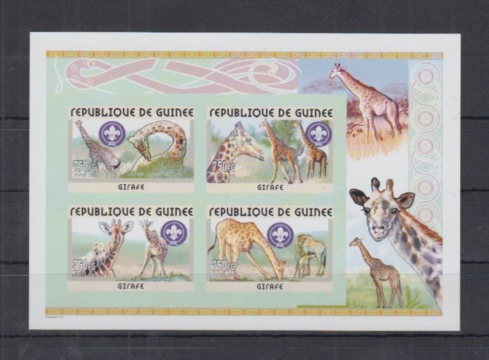 GUINEA 2001 FAUNA GIRAFE NEDANTELAT