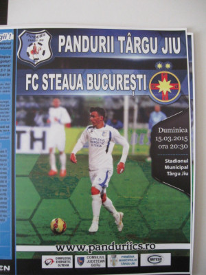 Pandurii Tg.Jiu-Steaua Bucuresti (15 martie 2015) foto