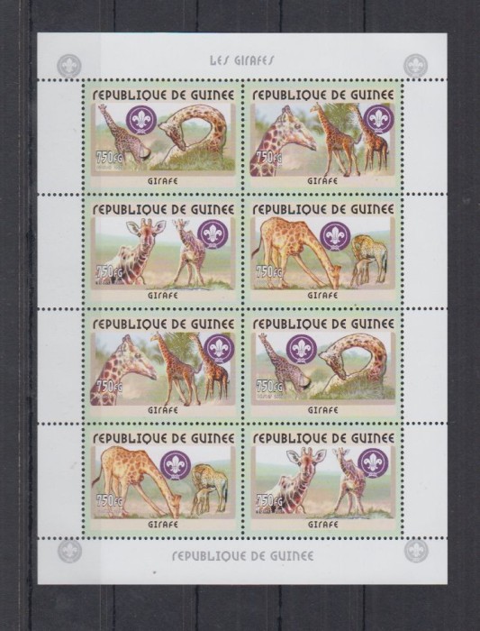 GUINEA 2001 FAUNA GIRAFE