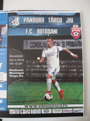 Pandurii Tg.Jiu-FC Botosani (23 noiembrie 2014) foto