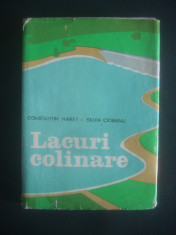 CONSTANTIN HARET, SILVIA CIOBANU - LACURI COLINARE (1979, editie cartonata) foto