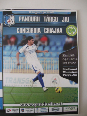 Pandurii Tg.Jiu-Concordia Chiajna (4 noiembrie 2014) foto