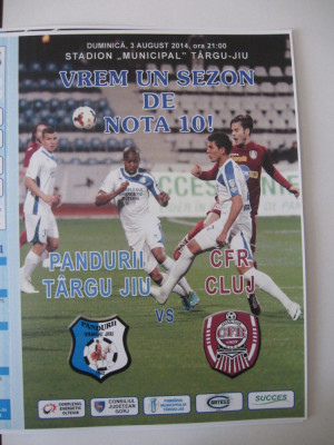 Pandurii Tg.Jiu-CFR Cluj Napoca (3 august 2014) foto