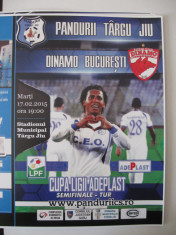 Pandurii Tg.Jiu-Dinamo Bucuresti (17 februarie 2015) foto