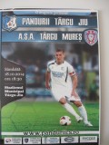 Pandurii Tg.Jiu-ASA Tg.Mures (18 octombrie 2014)