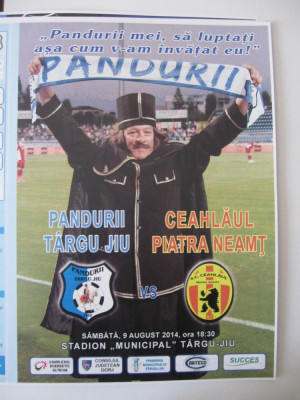 Pandurii Tg.Jiu-Ceahlaul Piatra Neamt (9 august 2014) foto