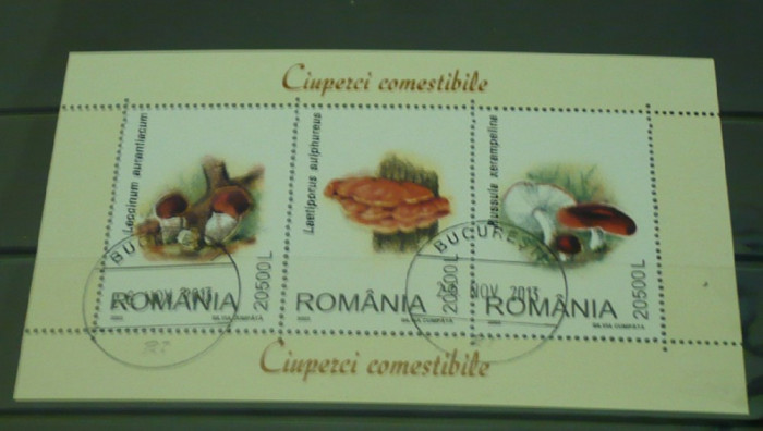 ROMANIA 2003 &ndash; CIUPERCI, bloc stampilat, VL24