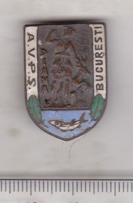 bnk ins Insigna AVPS Bucuresti foto