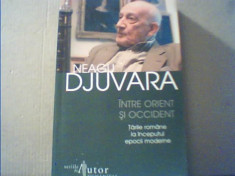 Neagu Djuvara - INTRE ORIENT SI OCCIDENT { Humanitas, 2008 | foto