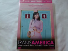 Transamerica - dvd foto