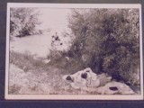 VEDERE REPRODUCERE DUPA UNA VECHE - FRANTA - LA SCALDAT - CIRCULATA, TIMBRATA