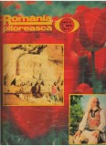 (C7620) REVISTA ROMANIA PITOREASCA, ANUL IV, 5 1975, NR.41