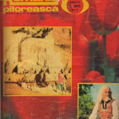 (C7620) REVISTA ROMANIA PITOREASCA, ANUL IV, 5 1975, NR.41