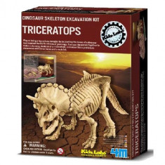 Set Arheologic Triceratops foto