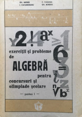 EXERCITII SI PROBLEME ALGEBRA CONCURSURI SI OLIMPIADE SCOLARE - Andrei, Caragea foto