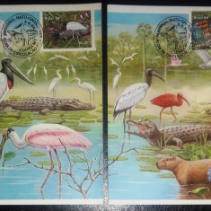 BRAZILIA 1984 - FAUNA. PELICANI. 2 ILUSTRATE MNH CU TIMBRU PT. MAXIMA (C.P.2)