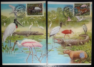 BRAZILIA 1984 - FAUNA. PELICANI. 2 ILUSTRATE MNH CU TIMBRU PT. MAXIMA (C.P.2) foto