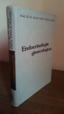 Endocrinologie Ginecologica foto