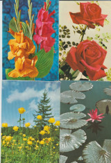 Flori - 4 carti postale straine necirculate foto