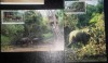 CHINA - FAUNA. ELEFANTI. 2 ILUSTRATE MNH CU TIMBRU PT. MAXIMA (C.P.2)