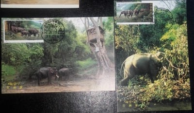 CHINA - FAUNA. ELEFANTI. 2 ILUSTRATE MNH CU TIMBRU PT. MAXIMA (C.P.2) foto