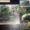 CHINA - FAUNA. ELEFANTI. 2 ILUSTRATE MNH CU TIMBRU PT. MAXIMA (C.P.2)