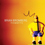 BRIAN BROMBERG - IT IS WHAT IT IS, 2009, CD, Jazz