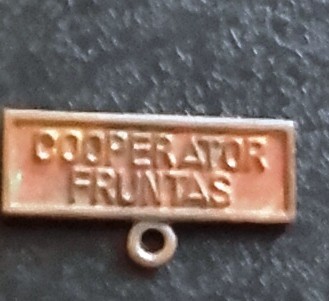 INSIGNA COOPERATOR FRUNTAS foto