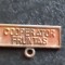 INSIGNA COOPERATOR FRUNTAS