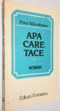 Apa care tace - Petre Salcudeanu