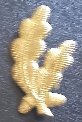 ROMANIA - INSEMN MILITAR foto