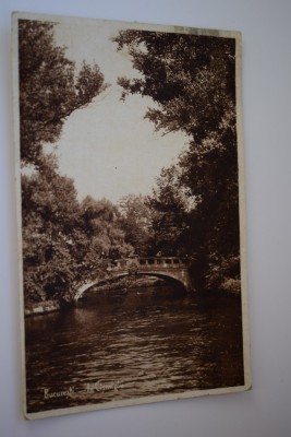 Carte postala - Poza - Bucuresti - In Cismigiu foto
