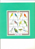 P209=GAMBIA-PASARI,kleinbogen de 12 timbre nestampilate tematica pasari,MNH