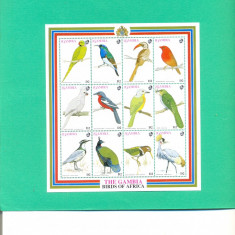 P209=GAMBIA-PASARI,kleinbogen de 12 timbre nestampilate tematica pasari,MNH