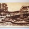 Carte postala - Poza - Sovata - Parc