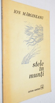 Ion Margineanu - stele in munti foto