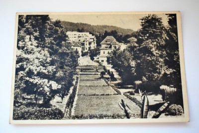 Carte postala - Poza - Govora - Parcul foto